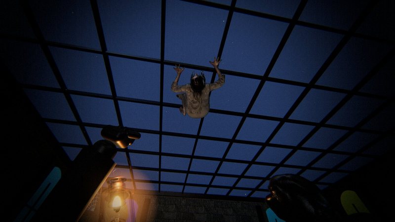 The Lodger upside down on the Conservatory’s glass roof at night, crawling